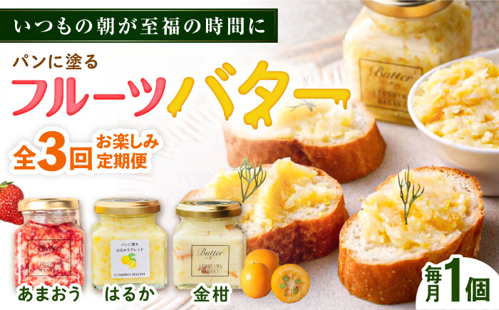 【全3回定期便】お楽しみ定期便 フルーツバター大1個 糸島市 / 糸島正キ ジャム クリーム 果物 [AQA062]