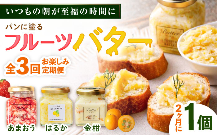 【全3回定期便/2ヶ月に1回】お楽しみ定期便 フルーツバター大1個 糸島市 / 糸島正キ ジャム クリーム 果物 [AQA065]