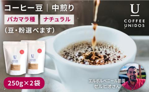 【年内発送】中煎りコーヒー豆250g×2袋 （豆・粉選べます） エルポルベニール農園パカマラ種ナチュラル 糸島市 / COFFEE UNIDOS 珈琲/カフェ/コーヒー粉 [AQF004]