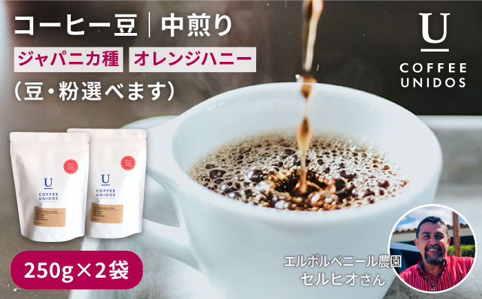 【年内発送】中煎りコーヒー豆250g×2袋 （豆・粉選べます） ニカラグア産エルポルベニール農園ジャバニカ種ナチュラル 糸島市 / COFFEE UNIDOS 珈琲/カフェ/コーヒー粉 [AQF005]