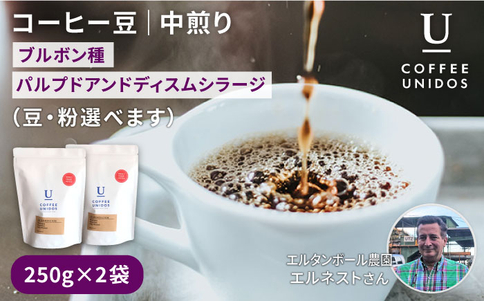 【年内発送】深煎りコーヒー豆 250g×2袋 （豆・粉選べます） エルサルバドル産 エルタンボール農園 ブルボン種 パルプドアンドディスムシラージ 糸島市 / COFFEE UNIDOS [AQF008]