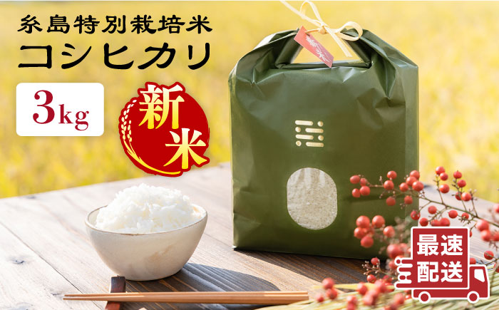 【令和7年産新米】とくべつの中の とくべつ 糸島 特別栽培米 3kg （ コシヒカリ ）《 糸島 》【株式会社やました】 [ARJ001]