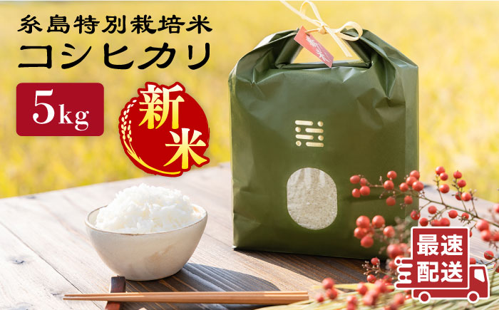 【令和7年産新米】とくべつ の中の とくべつ 糸島 特別栽培米 5kg （ コシヒカリ ）《 糸島 》【株式会社やました】 [ARJ005]