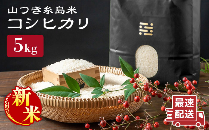【令和7年産新米】糸島 で 農薬 を使わずに育てた 山つき 糸島米 5kg （ コシヒカリ ）《 糸島 》【株式会社やました】 [ARJ015]