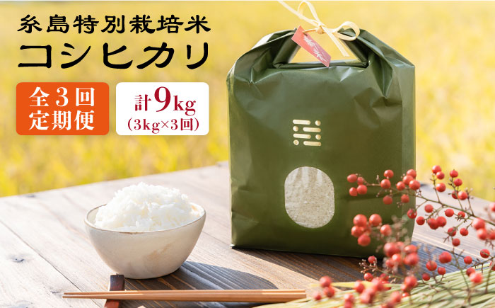 【令和7年産新米】【全3回定期便】とくべつの中のとくべつ 糸島 特別栽培米 3kg （ コシヒカリ ） 糸島市 / itoshimacco / 株式会社やました [ARJ021]