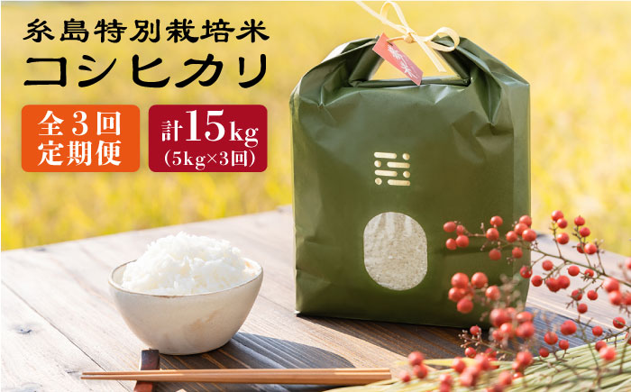 【令和7年産新米】【全3回定期便】とくべつの中のとくべつ 糸島 特別栽培米 5kg （ コシヒカリ ）《糸島》【itoshimacco / 株式会社やました】 [ARJ025]