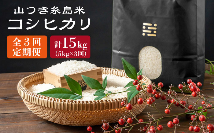 【全3回定期便】糸島 で 農薬 を使わずに育てた 山つき 糸島米 5kg （ コシヒカリ ）《糸島》【itoshimacco / 株式会社やました】 [ARJ035]