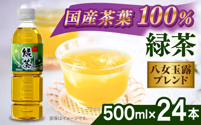 ＼2週間以内に発送／八女 玉露入り 緑茶 500ml × 24本 糸島市 / スターナイン お茶 ペットボトル [ARM004] ソフトドリンク おちゃ まとめ買い 箱買い すぐ届く