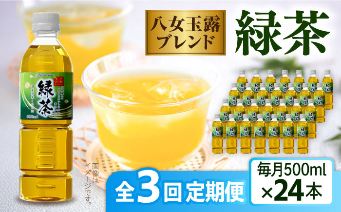 【全3回定期便】八女 玉露入り 緑茶 500ml × 24本 糸島市 / スターナイン お茶 ペットボトル [ARM015] ソフトドリンク おちゃ まとめ買い 箱買い