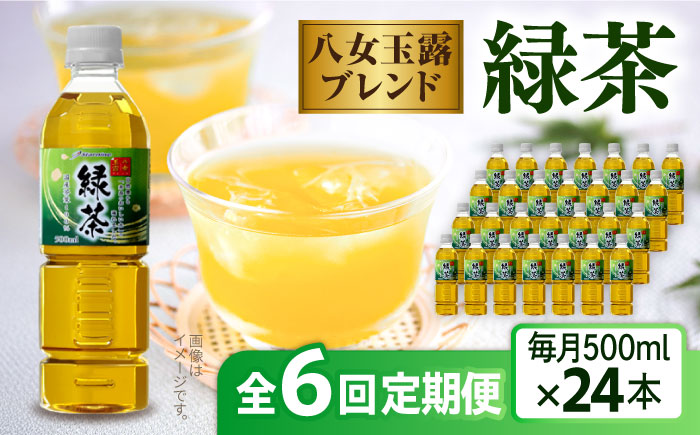 【全6回定期便】八女 玉露入り 緑茶 500ml × 24本 糸島市 / スターナイン お茶 ペットボトル [ARM016] ソフトドリンク おちゃ まとめ買い 箱買い