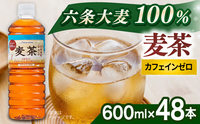 麦茶 600ml × 48本 糸島市 / スターナイン [ARM026] お茶 ペットボトル