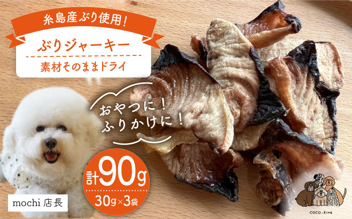 ぶり ジャーキー 30g×3袋 糸島市 / 株式会社コバヤシ【coco.kina】 [ASL010]