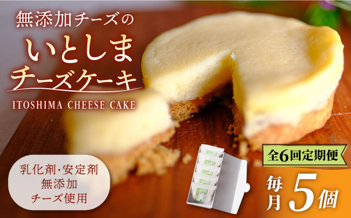 【全6回定期便】無添加チーズのいとしまチーズケーキ【5個入り】糸島市 / 糸島手作り工房 爽風 [ATA006]