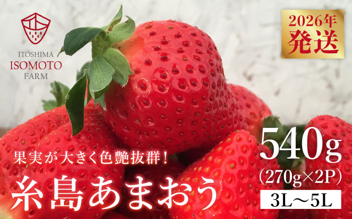 糸島の美味い あまおう 270g × 2パック (A品B品含む３L～５L) 糸島市 / 磯本農園 / TANNAL [ATB003] いちご 苺 イチゴ