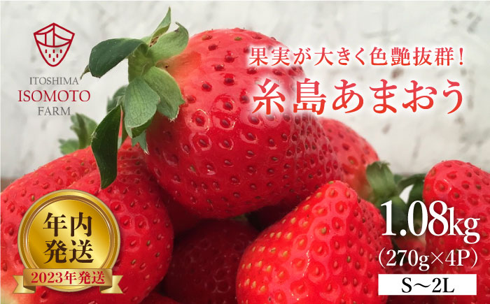 【限定100箱】糸島の美味いあまおう 270g × 4パック (A品B品含むS～2L) 糸島市 / 磯本農園 / TANNAL [ATB020]