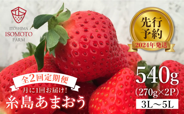 【全2回定期便】 糸島の美味い あまおう 270g × 2パック (A品B品含む3L～5L) 糸島市 / 磯本農園 / TANNAL いちご [ATB026]