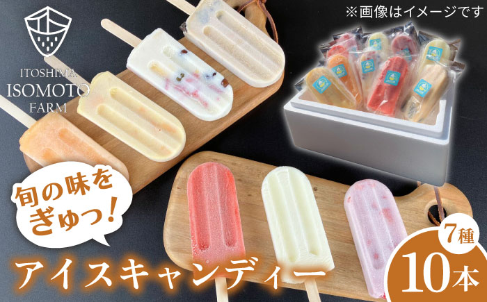 アイスキャンディ 10本セット 全7種＋ランダム3本 アイス キャンディ 糸島市 / TANNAL [ATB033]