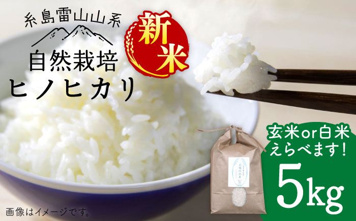 【令和7年産新米】【白米】自然栽培ヒノヒカリ5kg《糸島》【大石ファーム】 [ATE001-1] 白米