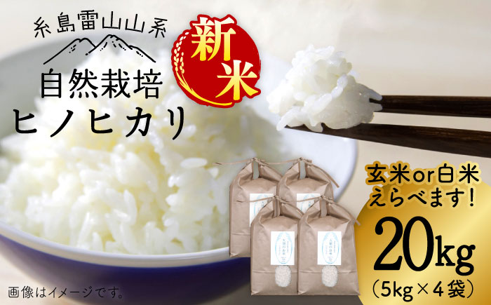 ＼令和6年産／自然栽培 ヒノヒカリ 20kg 《糸島》【大石ファーム】 [ATE003]