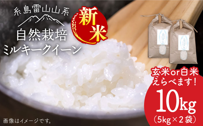 ＼令和6年産／ 糸島産 ミルキークイーン 10kg 自然栽培 ≪糸島≫【大石ファーム】 [ATE015]
