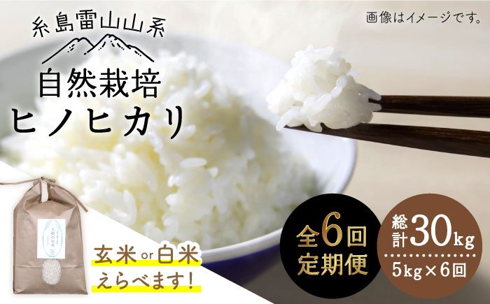 【令和7年産新米】【玄米】【全6回定期便】自然栽培ヒノヒカリ5kg《糸島》【大石ファーム】 [ATE018-1] 玄米