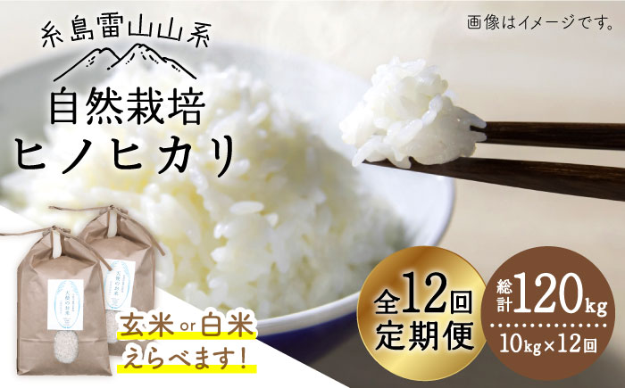 【令和7年産新米】【玄米】【全12回定期便】自然栽培ヒノヒカリ10kg《糸島》【大石ファーム】 [ATE022-1] 玄米