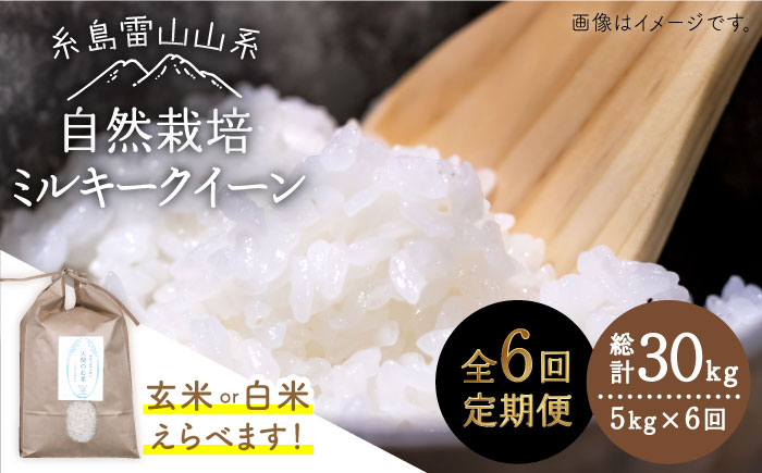 【全6回定期便】糸島産 ミルキークイーン 5kg 自然栽培 ≪糸島≫【大石ファーム】 [ATE027]