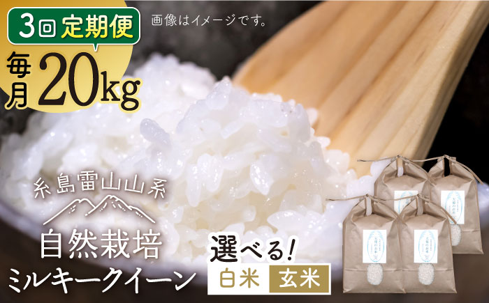 全3回定期便】糸島産 ミルキークイーン 20kg 自然栽培 糸島市 / 大石