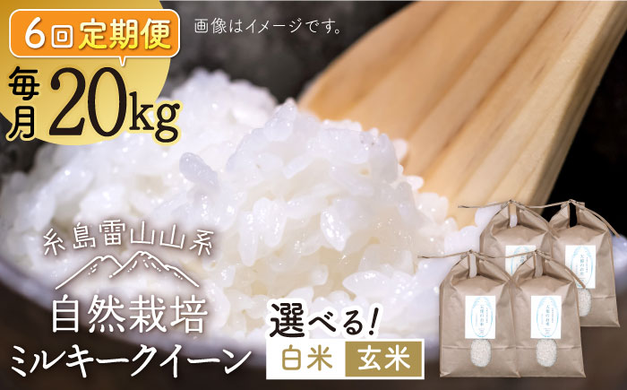 【全6回定期便】糸島産 ミルキークイーン 20kg 自然栽培 糸島市 / 大石ファーム [ATE039]