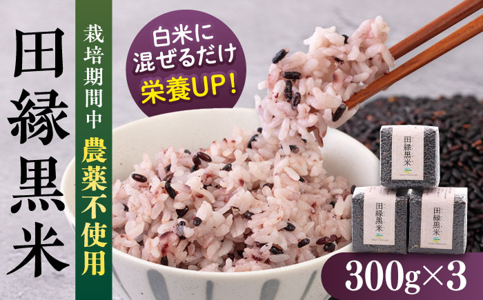 田縁黒米（でんえんくろまい）300g×3パック 糸島市 / NPO法人田縁プロジェクト 古代米 黒米 米 ご飯 [ATM003]