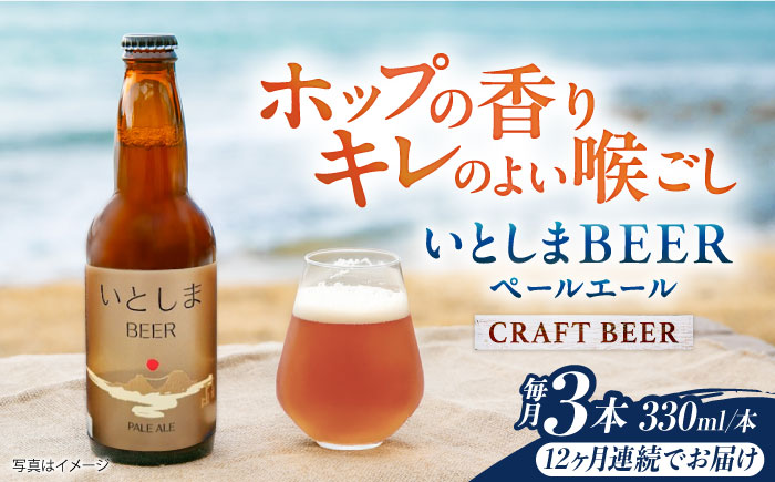 【全12回定期便】 いとしまBEER (ペールエール) 330ml×3本 糸島市 / 蔵屋 クラフトビール [AUA049]