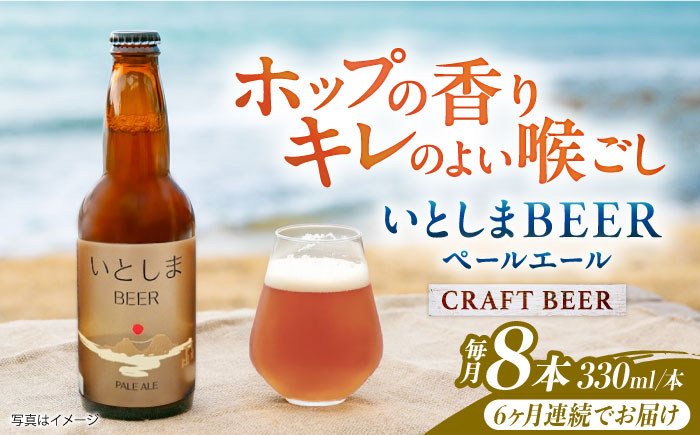 【全6回定期便】いとしまBEER (ペールエール) 330ml×8本 糸島市 / 蔵屋 クラフトビール [AUA054]