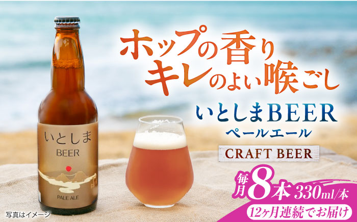 【全12回定期便】いとしまBEER (ペールエール) 330ml×8本 糸島市 / 蔵屋 クラフトビール [AUA055]
