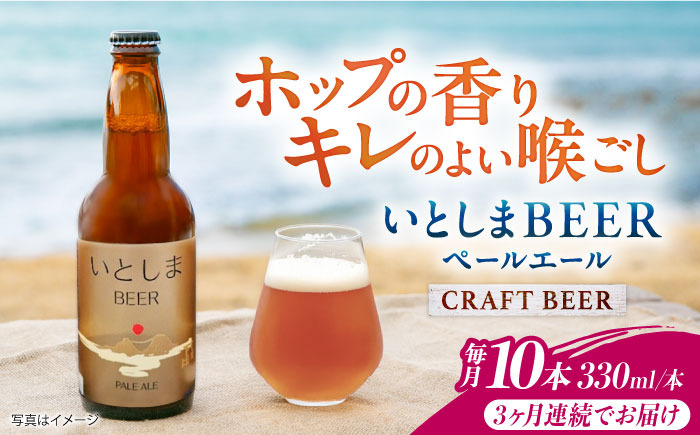 【全3回定期便】いとしまBEER (ペールエール) 330ml×10本 糸島市 / 蔵屋 クラフトビール [AUA056]