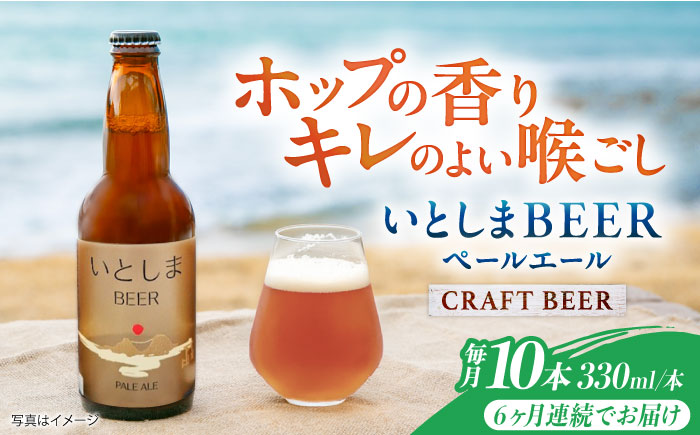 【全6回定期便】いとしまBEER (ペールエール) 330ml×10本 糸島市 / 蔵屋 クラフトビール [AUA057]