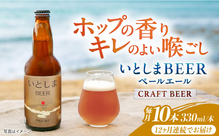 【全12回定期便】いとしまBEER (ペールエール) 330ml×10本 糸島市 / 蔵屋 クラフトビール [AUA058]