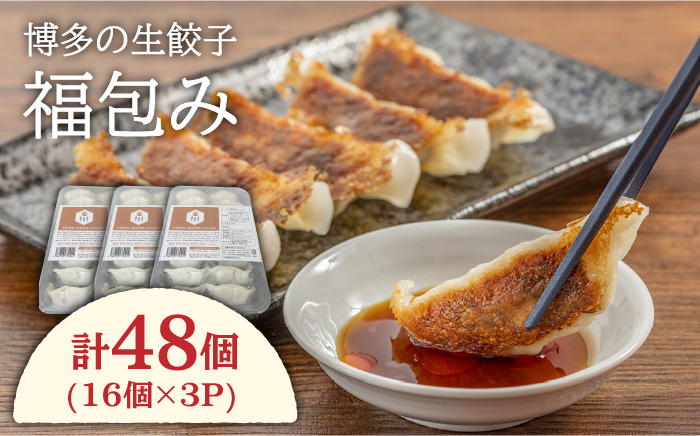 博多の生餃子 福包み（16個入り×3パック）≪糸島市≫【福包み】餃子/生餃子/華豚 [AUI005]