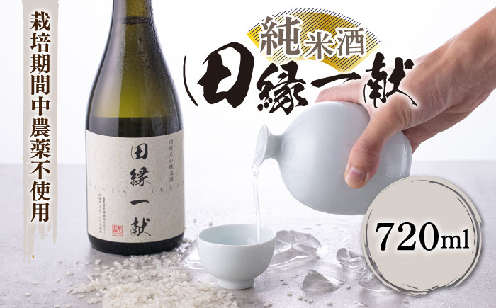 無農薬で育てたお米で作った日本酒 『田縁一献（でんえんいっこん）』純米酒 720ml×1本 糸島市 / NPO法人田縁プロジェクト [AUM002]