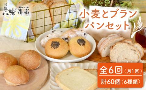 全6回定期便 小麦とブランのパンセット（卵・乳製品不使用）【天然パン工房楽楽】 【いとしまごころ】[AVC019]