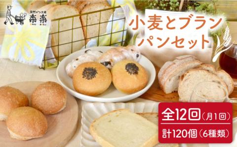 全12回定期便 小麦とブランのパンセット（卵・乳製品不使用）【天然パン工房楽楽】 【いとしまごころ】[AVC020]