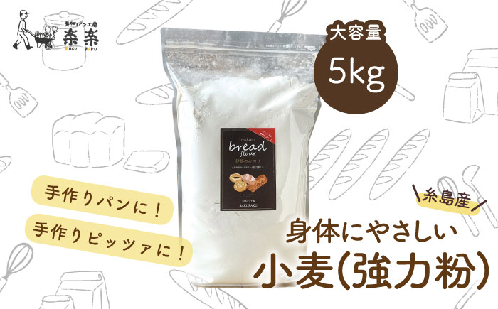 【糸島産小麦使用】伊都のみのり（強力粉）5kg《糸島》【天然パン工房楽楽】【 いとしまごころ】 [AVC061]