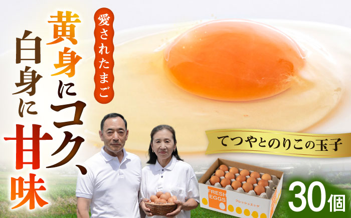 【年内発送】【30個】黄身にコク！白身に甘み！てつやとのりこの玉子 板垣ファーム [AWD001]