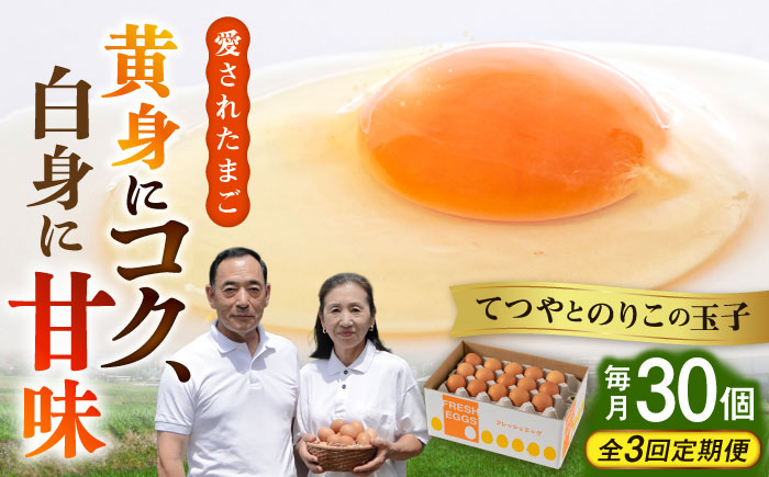 【全3回定期便】【30個×3ヶ月】黄身にコク！白身に甘み！てつやとのりこの玉子 板垣ファーム [AWD006]