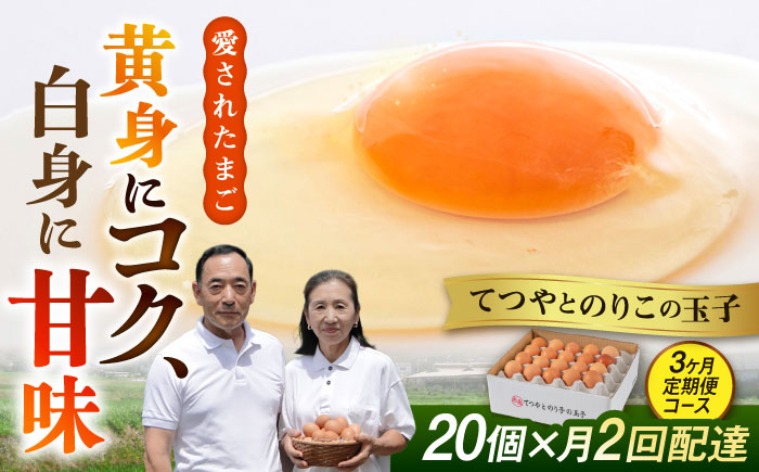 《月2回 × 20個 3ヶ月コース》卵 てつやとのりこの玉子 全6回定期便 糸島市 / 板垣ファーム [AWD012]