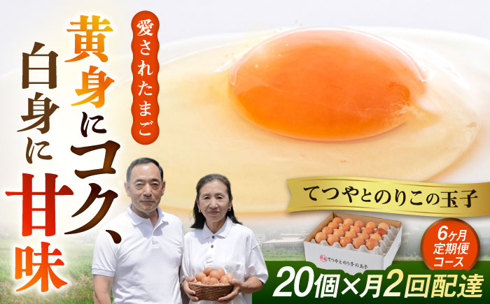 《月2回×20個 6ヶ月コース》 卵 てつやとのりこの玉子 全12回定期便 糸島市 / 板垣ファーム [AWD013]