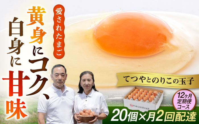 《月2回×20個 12ヶ月コース》てつやとのりこの玉子 全24回定期便 糸島市 / 板垣ファーム [AWD014]