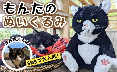 【 SNSで人気の猫 / 糸島観光大使】【 もんた 】 ぬいぐるみ 糸島市 / Basismall 猫 ネコ 観光大使 [AXL001]