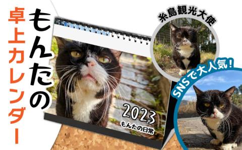 【 SNSで人気の猫 / 糸島観光大使】2023年 「 もんたの日常 」 卓上 カレンダー 糸島市 / Basismall 猫 ネコ 観光大使 [AXL004]
