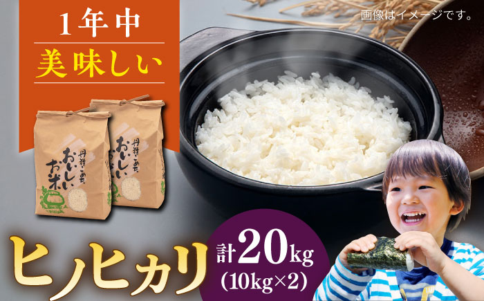 【年内発送】糸島産 ヒノヒカリ 20kg 糸島市 / 平山農園 米 白米 米 白米 ご飯 お米 20kg [AXN007]