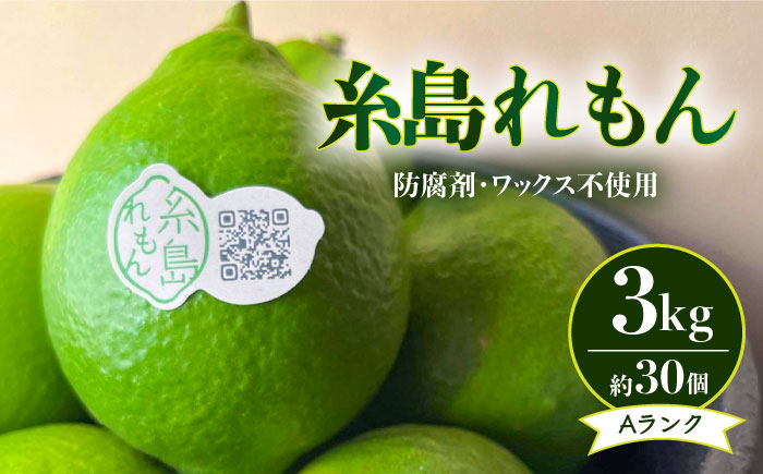 【防腐剤・ワックス不使用】糸島れもん A 3kg（30個前後） 糸島市 / 株式会社 糸島れもん 国産 レモン [AYL001]